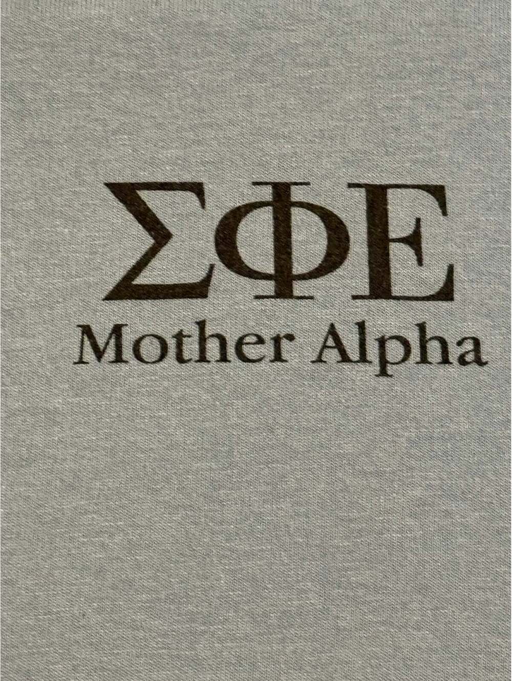 2010 Sigma Phi Epsilon “PigEP Sig Roast” Fraternity Event T-Shirt – Gildan m